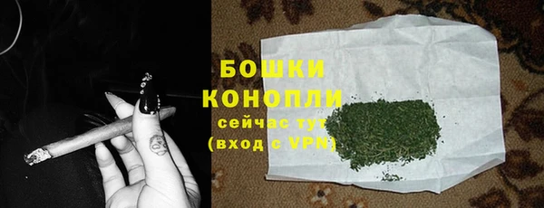 мдпв Снежногорск