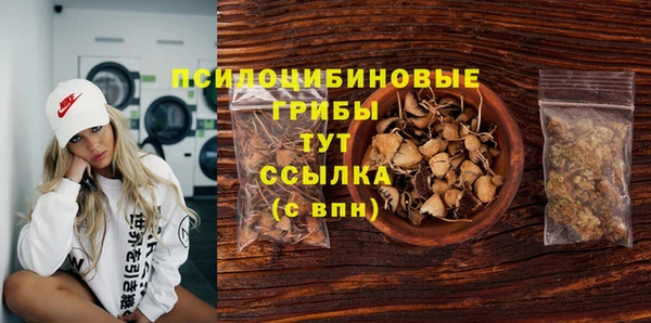 бошки Аркадак