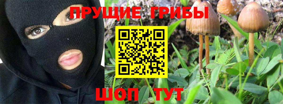 Псилоцибиновые грибы ЛСД  Вход с VPN  Асбест 