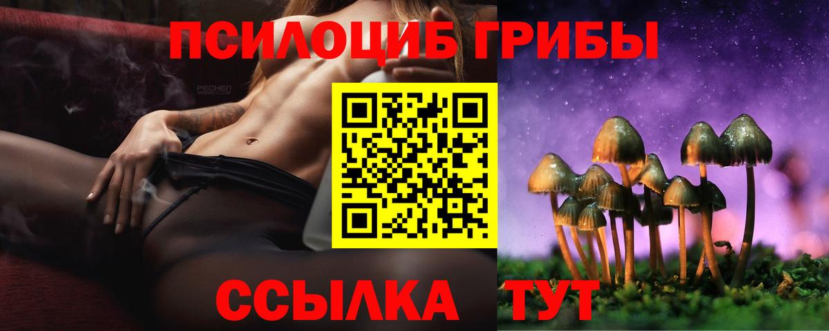 Псилоцибиновые грибы Psilocybine cubensis Асбест